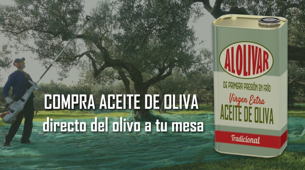 compra aquí aceite de oliva virgen extra directo del productor