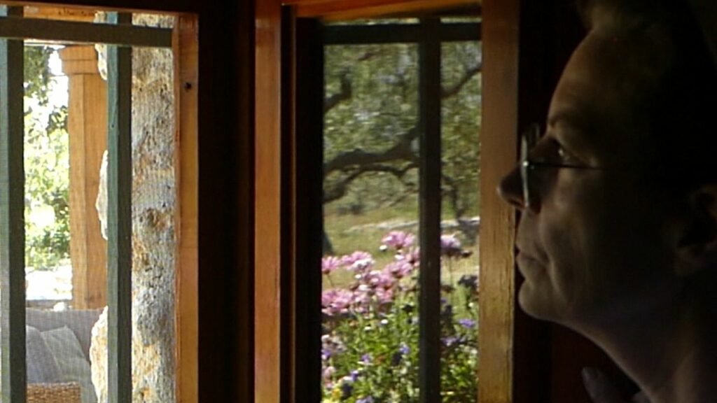 Mirando por la ventana