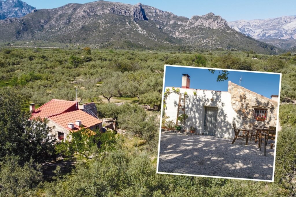 DCIM\100MEDIA\DJI_0624.JPG Al olivar finca y casa de campo