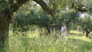 el tiempo moldea, la quietud transforma