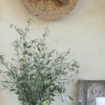 bouquet de ramas de olivo