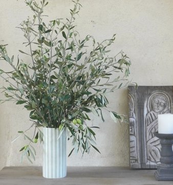 Ramas de olivo natural y frescas