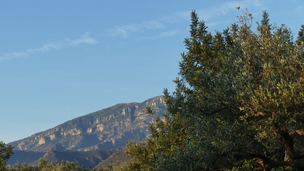 Montaña al fondo visible entre los árboles, iluminada suavemente, simbolizando la presencia de Dios que observa y reconoce incluso cuando solo das los primeros pasos y aún te sientes oculto.