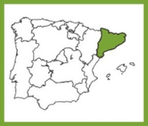Localización en España Finca Al olivar