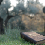 Una Biblia cerrada sobre la hierba en un tranquilo olivar, iluminada por una luz cálida, que simboliza la quietud, la guía y la elección de hacer lo correcto incluso bajo presión.